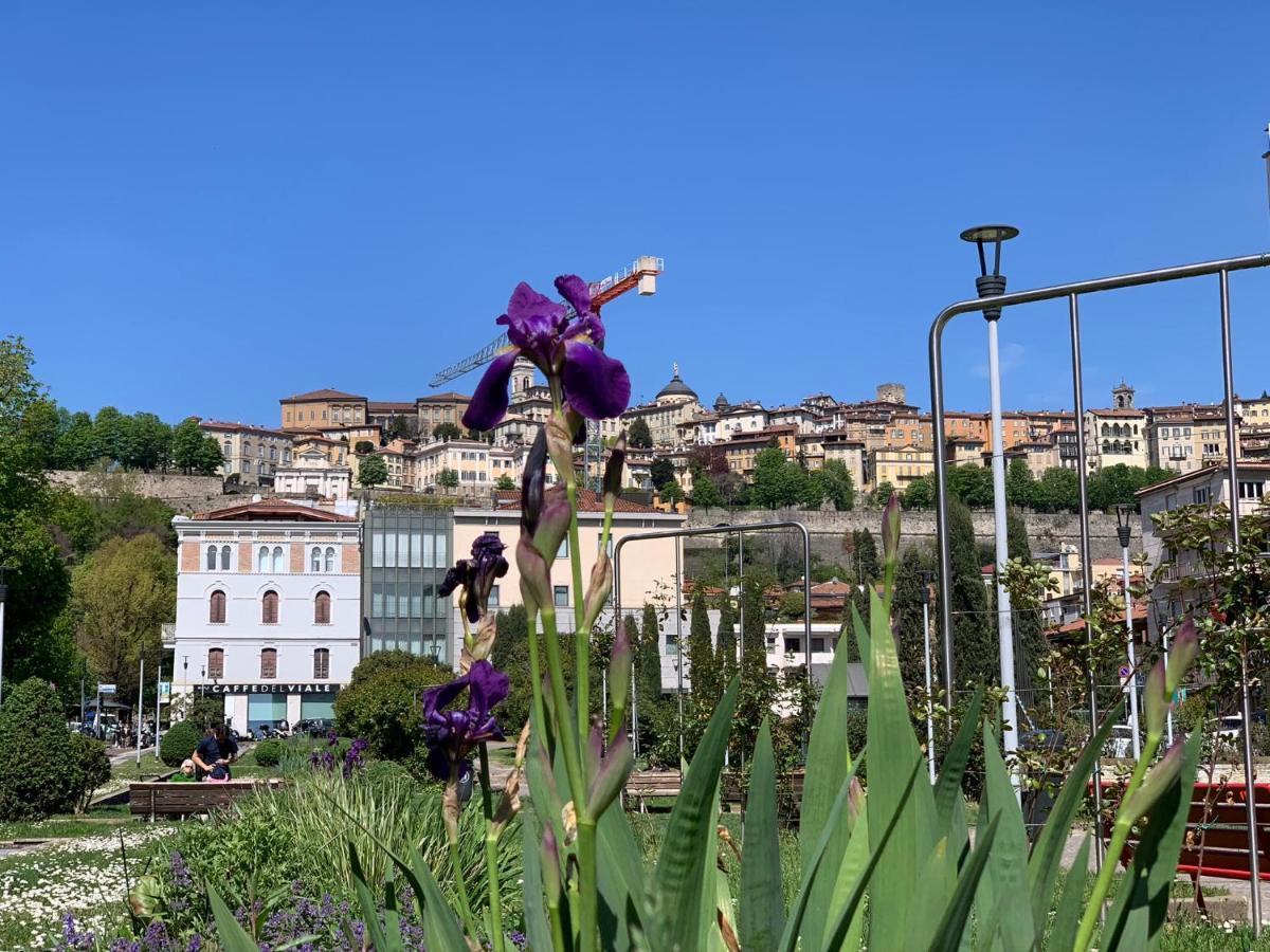 Houseberg Leilighet Bergamo Eksteriør bilde
